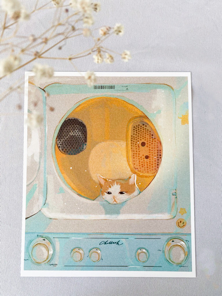 Laundry Cat