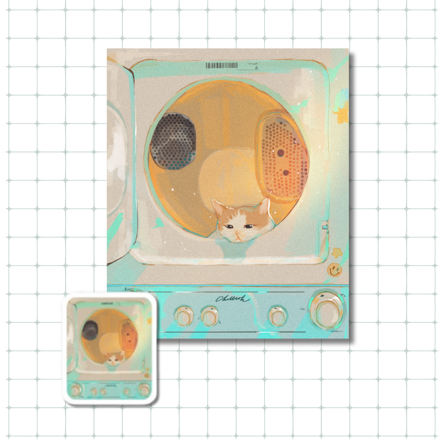 Laundry Cat
